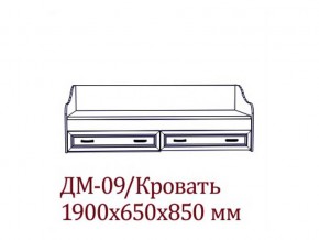 ДМ-09 Кровать (Без матраца 0,8*1,86 ) в Краснокамске - krasnokamsk.magazin-mebel74.ru | фото